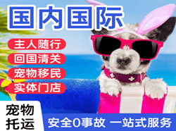 吴川空运代理国际宠物托运 【国